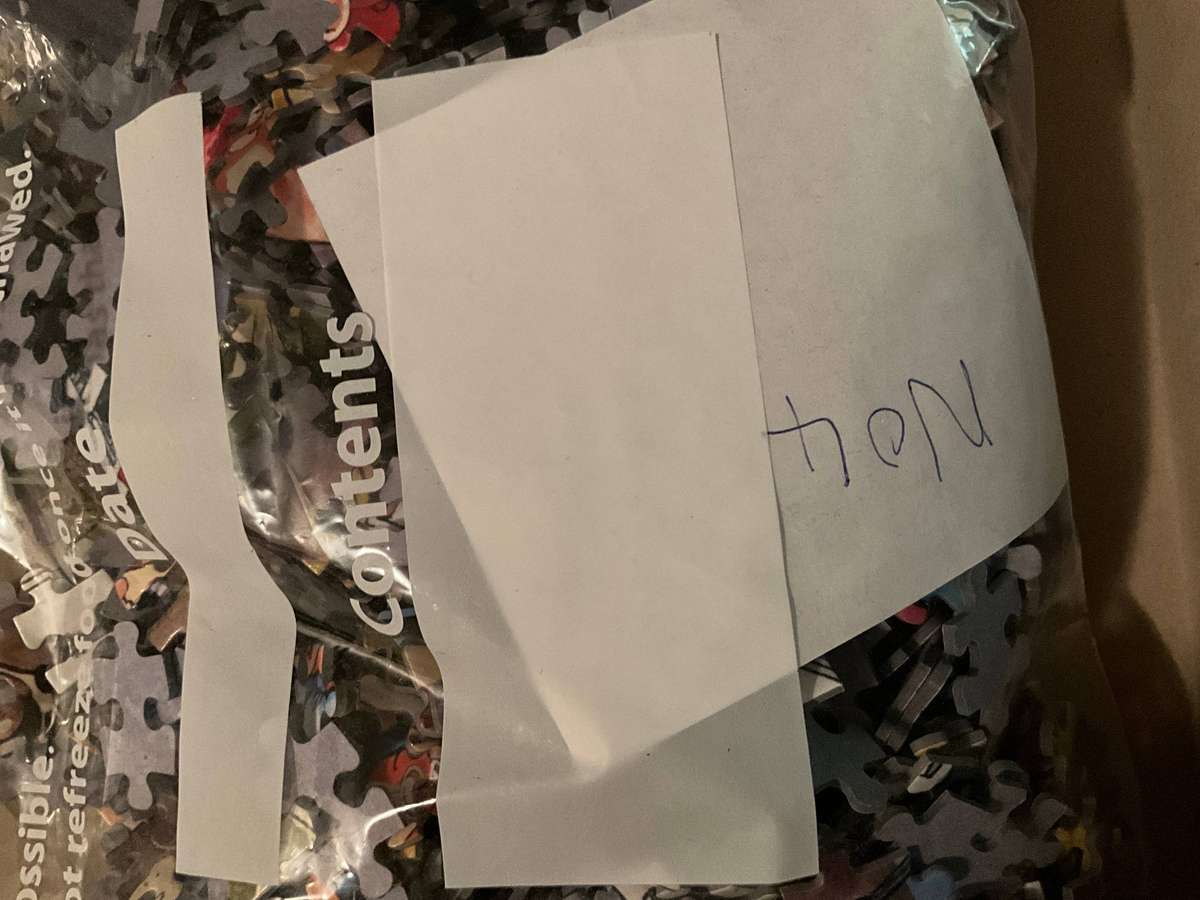 WASGIJ Puzzle 1000 DAY TO REMEMBER