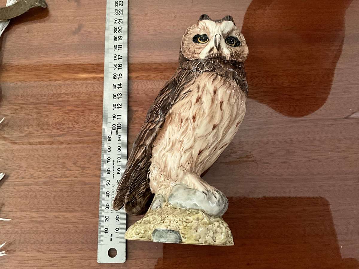 Scottish short eared Owl by John G Tongue Royal Doulton
