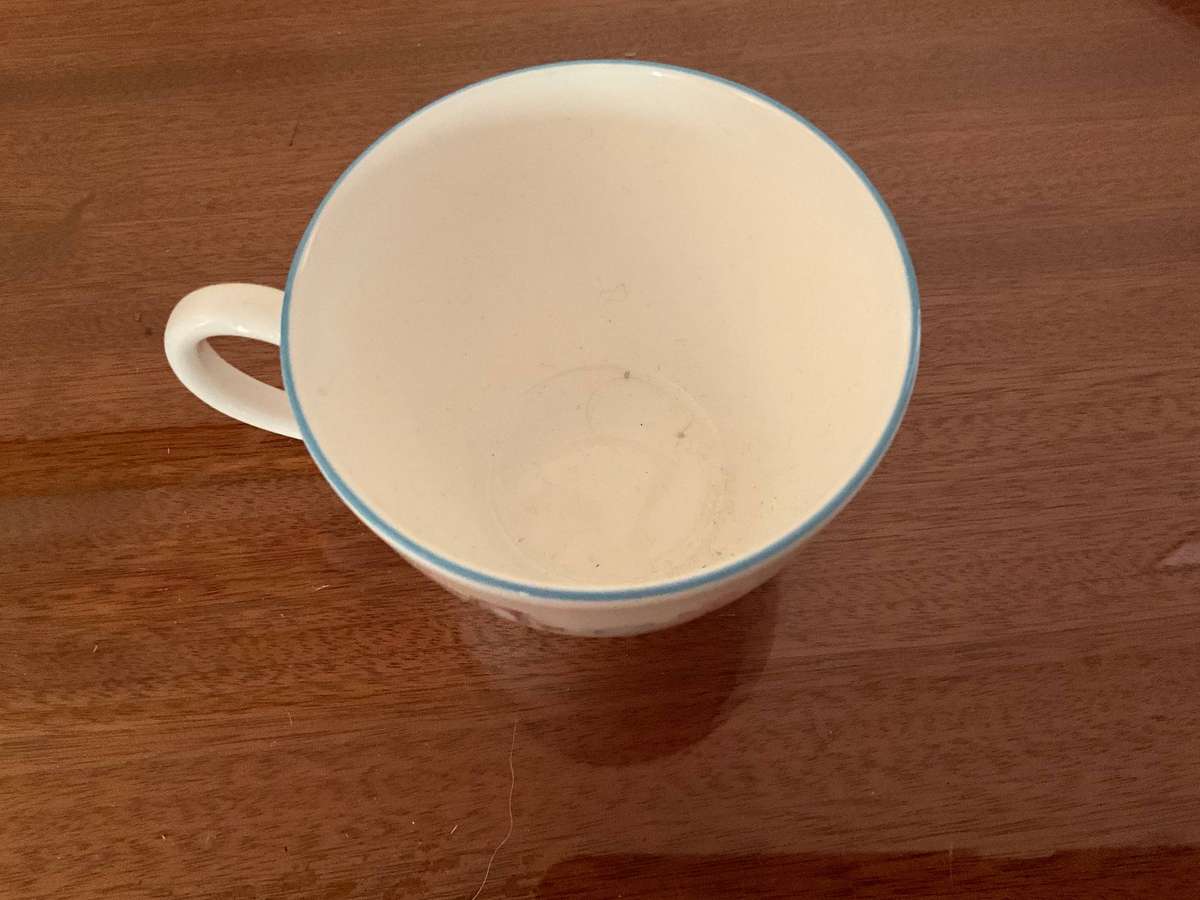 Beatrix Potter Peter Rabbit Wedgwood tea cup only