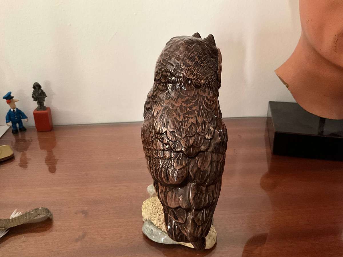 Scottish short eared Owl by John G Tongue Royal Doulton