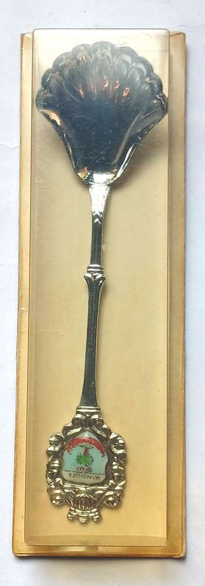 7 x Souvenir Spoons (Southern Africa)