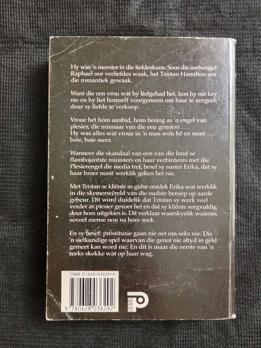 Die Plesierengel by Leon van Nierop