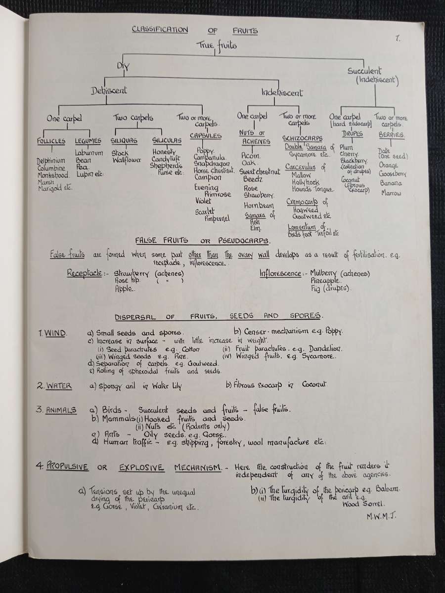 Biological Drawings with notes by Maud Jepson