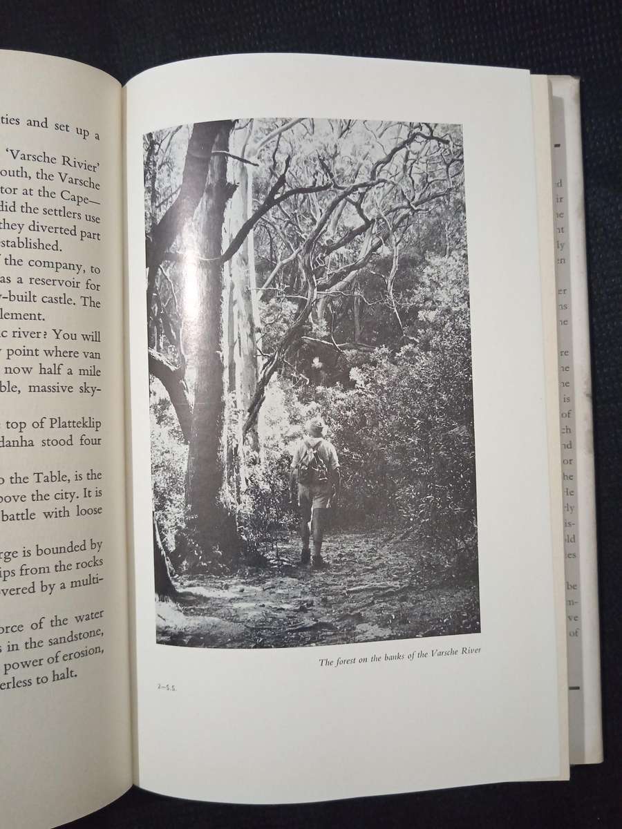 Safe to the Sea by Jose Burman