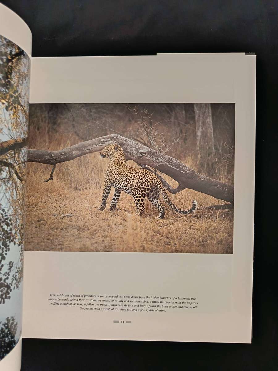 The Leopards of Londolozi by Lex Hes