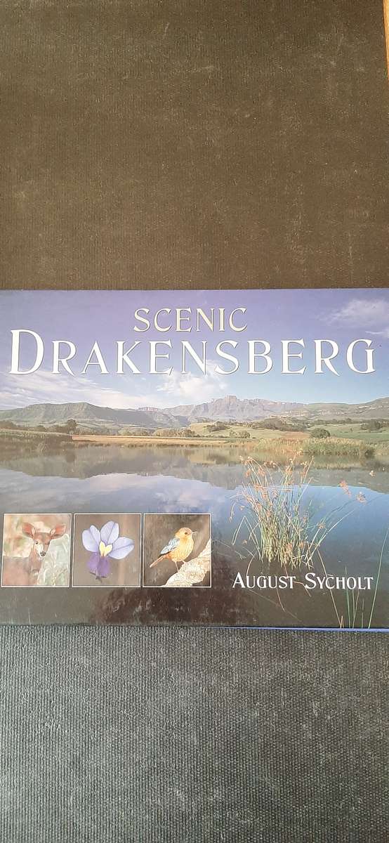 Scenic Drakensberg by August Sycholt