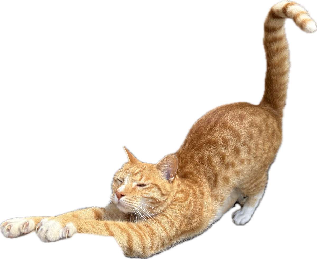 Vintage Playmobil city guard lot , chrome knights with horses