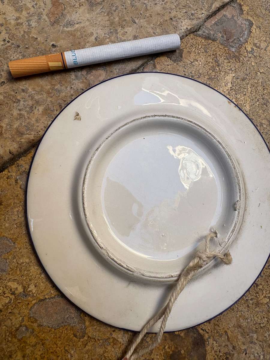 Horoscope porcelain wall plate