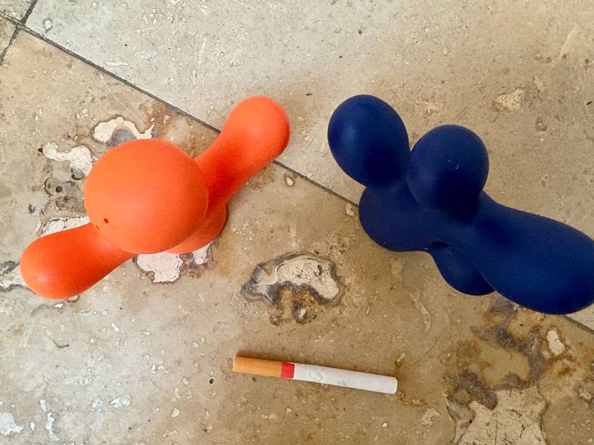 VINTAGE PAIR OF ALESSI VICE VERSA CORAL & CACTUS SALT & PEPPER SHAKERS