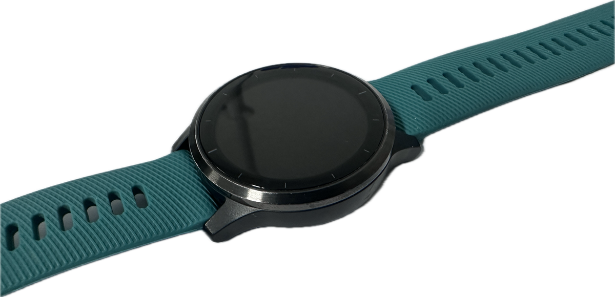 GARMIN vivoactive 4