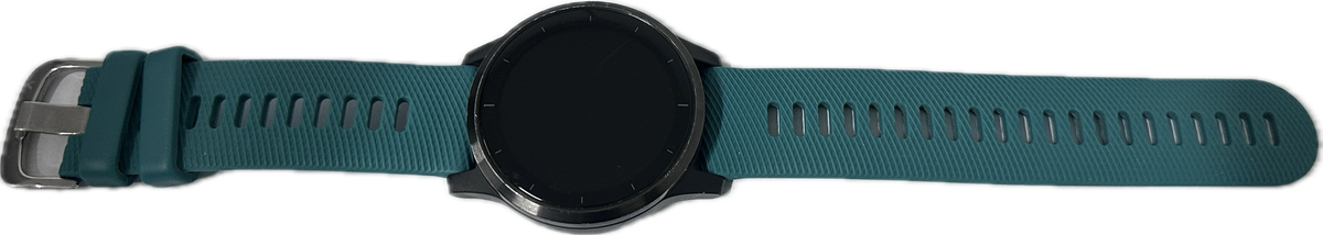GARMIN vivoactive 4