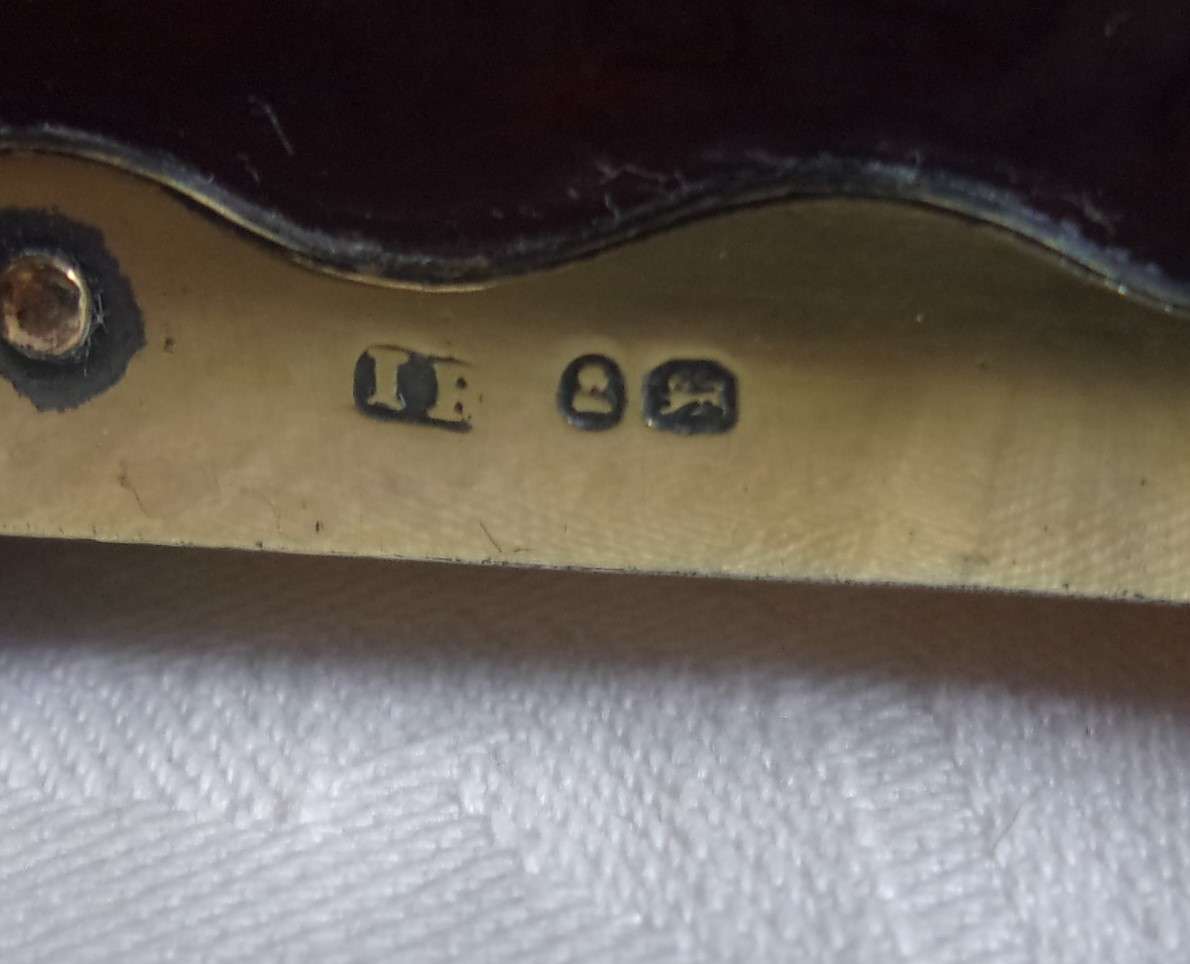 Georgian tortoise shell trinket box with gilt Sterling silver fittings