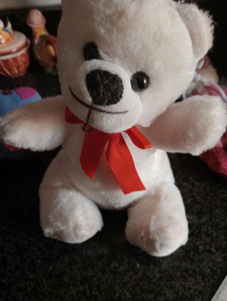 COLLECTABLE WHITE TEDDY