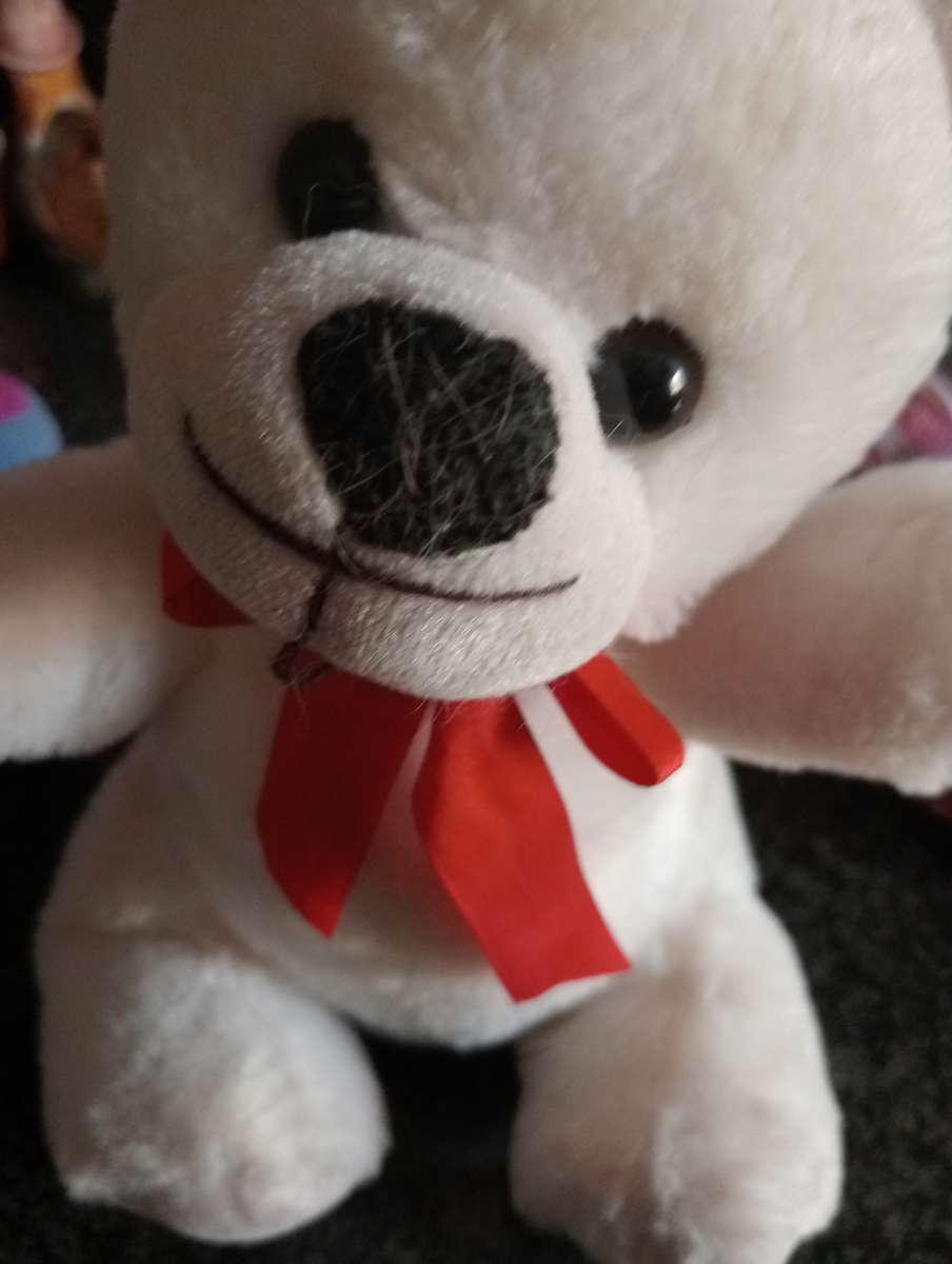 COLLECTABLE WHITE TEDDY