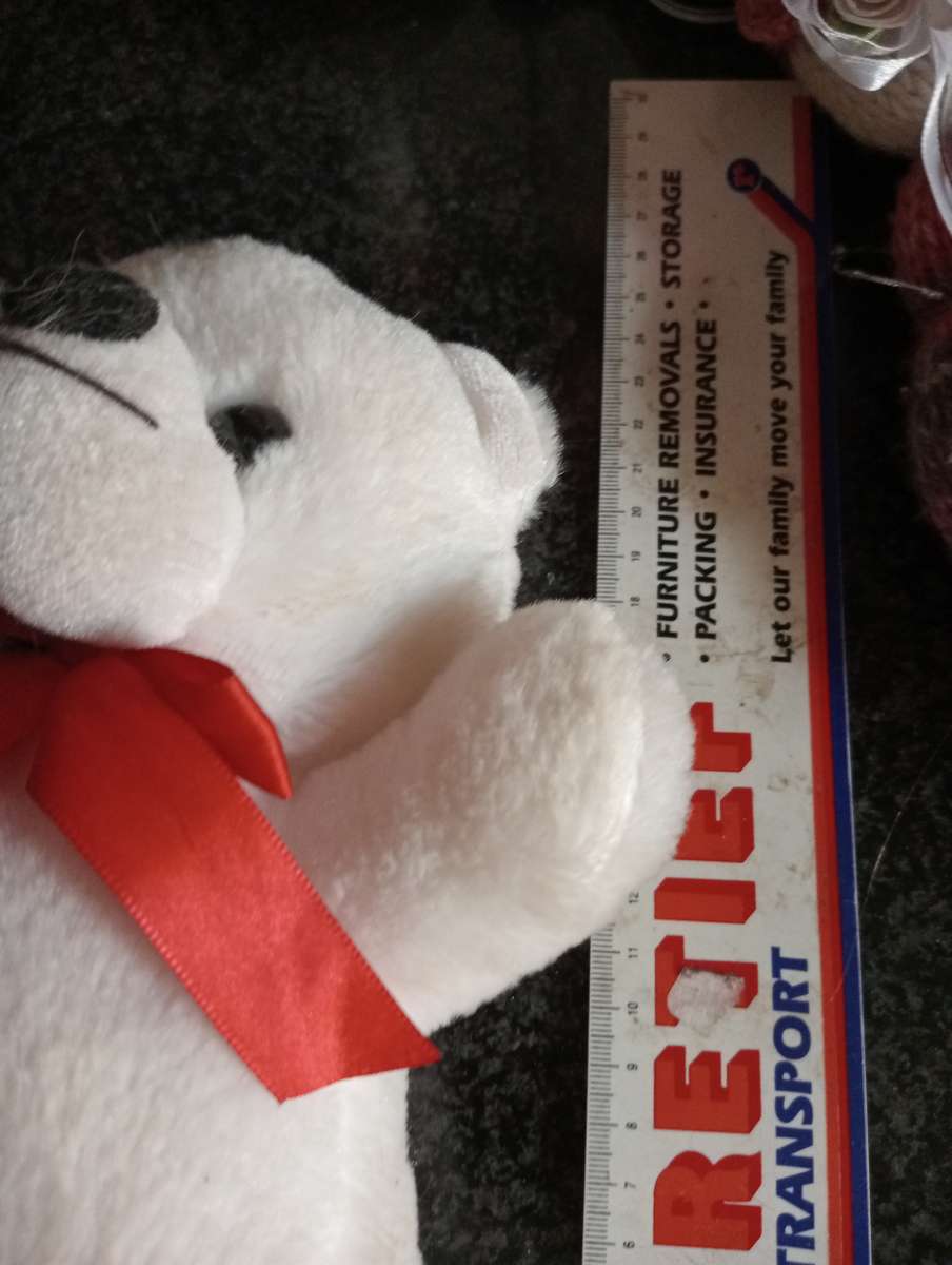 COLLECTABLE WHITE TEDDY