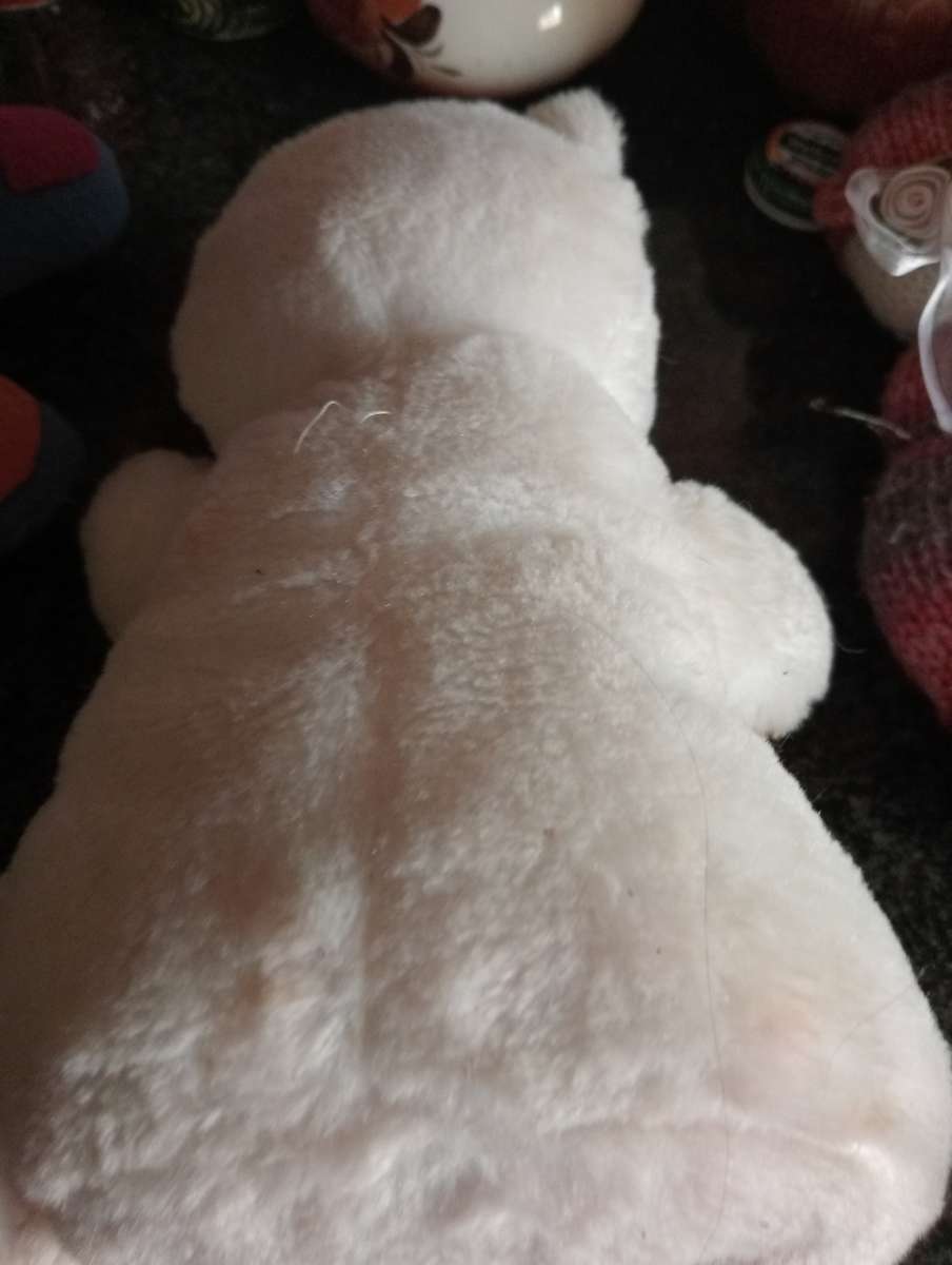 COLLECTABLE WHITE TEDDY