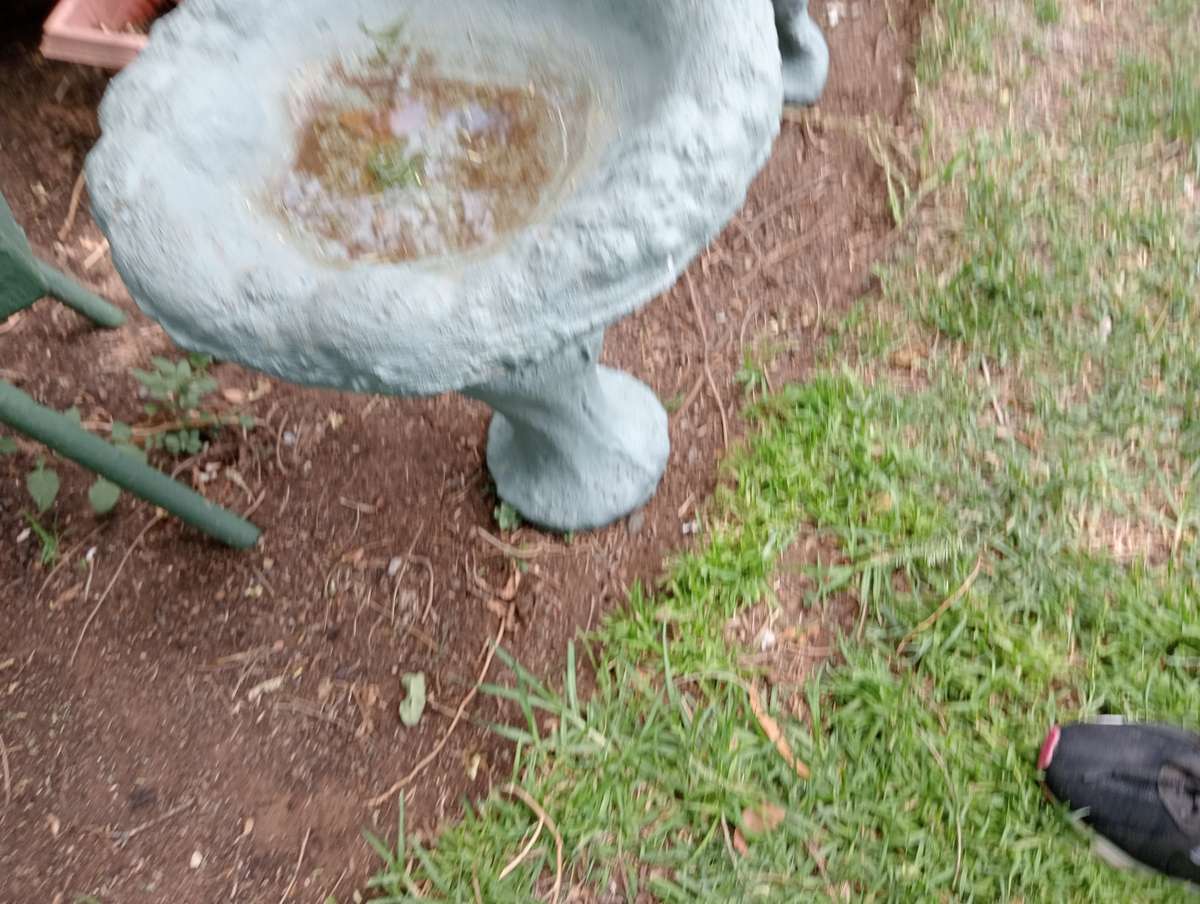 VINTAGE GARDEN BIRD BATH STATUES