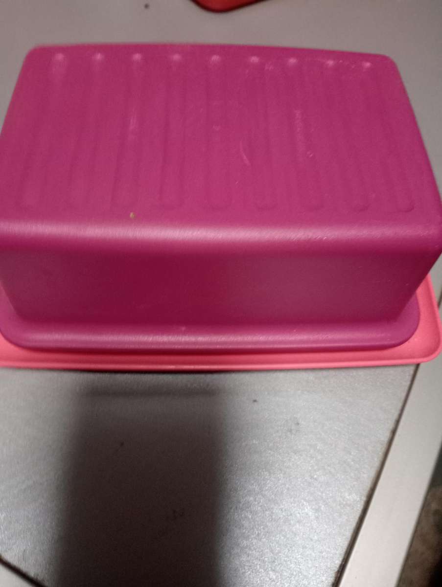 NEW TUPPERWARE BUTTER HOLDER