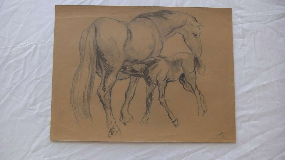 An original pencil sketch by international artist Hedwig Brecher Eibuschitz " horse study "
