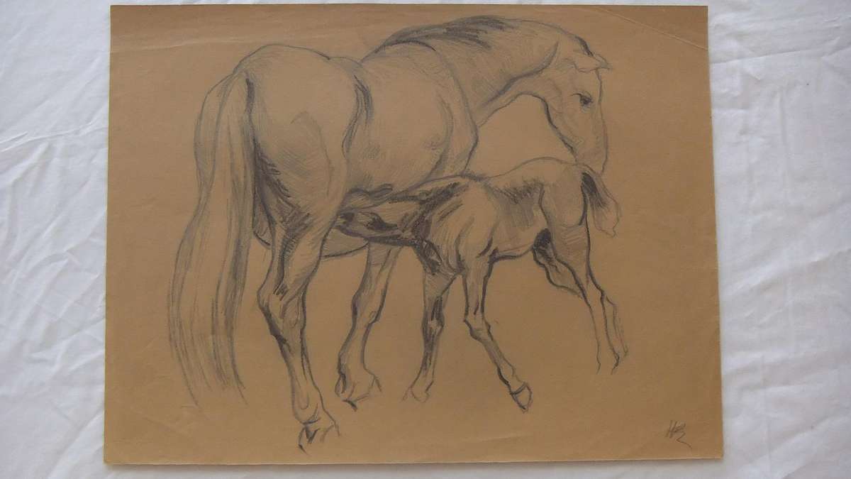 An original pencil sketch by international artist Hedwig Brecher Eibuschitz " horse study "