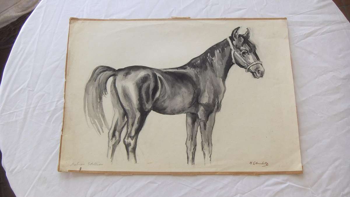 An original watercolour painting by international artist Hedwig Brecher Eibuschitz "horse study "