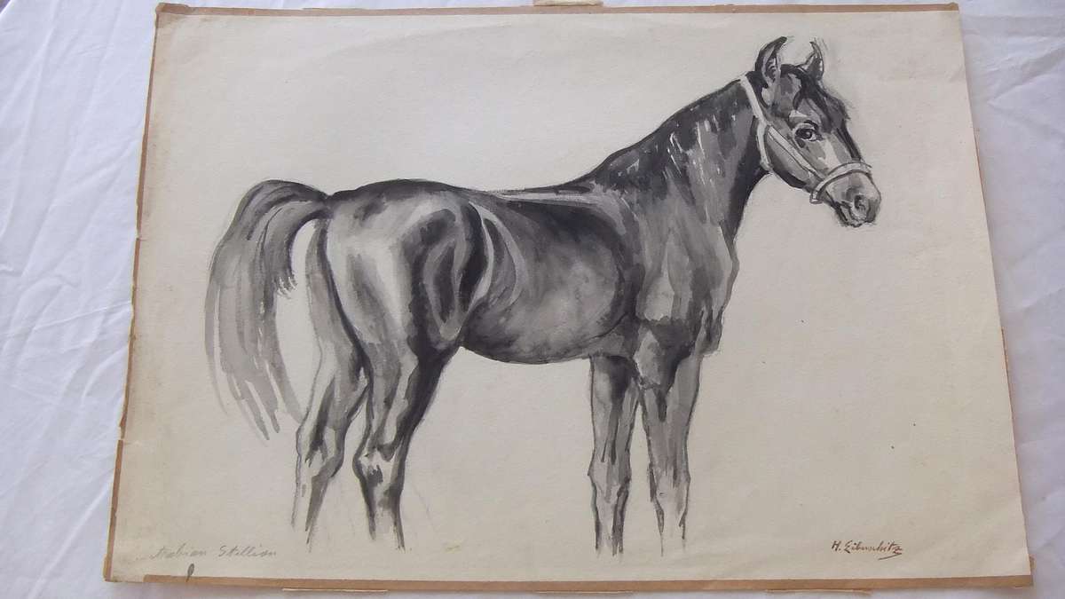 An original watercolour painting by international artist Hedwig Brecher Eibuschitz "horse study "