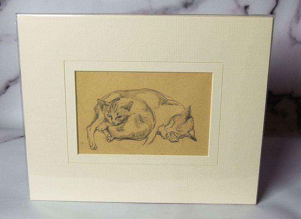 An original pencil sketch by international artist Hedwig Brecher Eibuschitz " cat study "