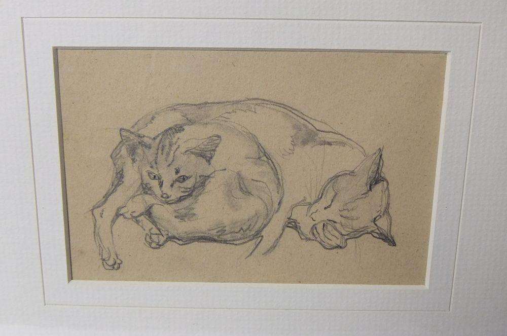 An original pencil sketch by international artist Hedwig Brecher Eibuschitz " cat study "