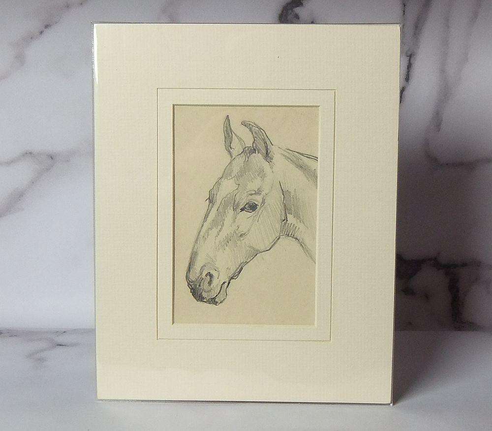 An original pencil sketch by international artist Hedwig Brecher Eibuschitz " horse study "