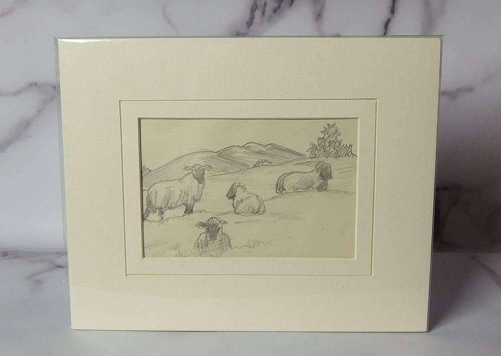 An original pencil sketch by international artist Hedwig Brecher Eibuschitz " farm study "