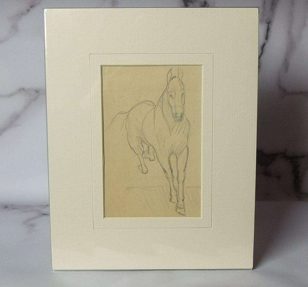 An original pencil sketch by international artist Hedwig Brecher Eibuschitz " horse study "