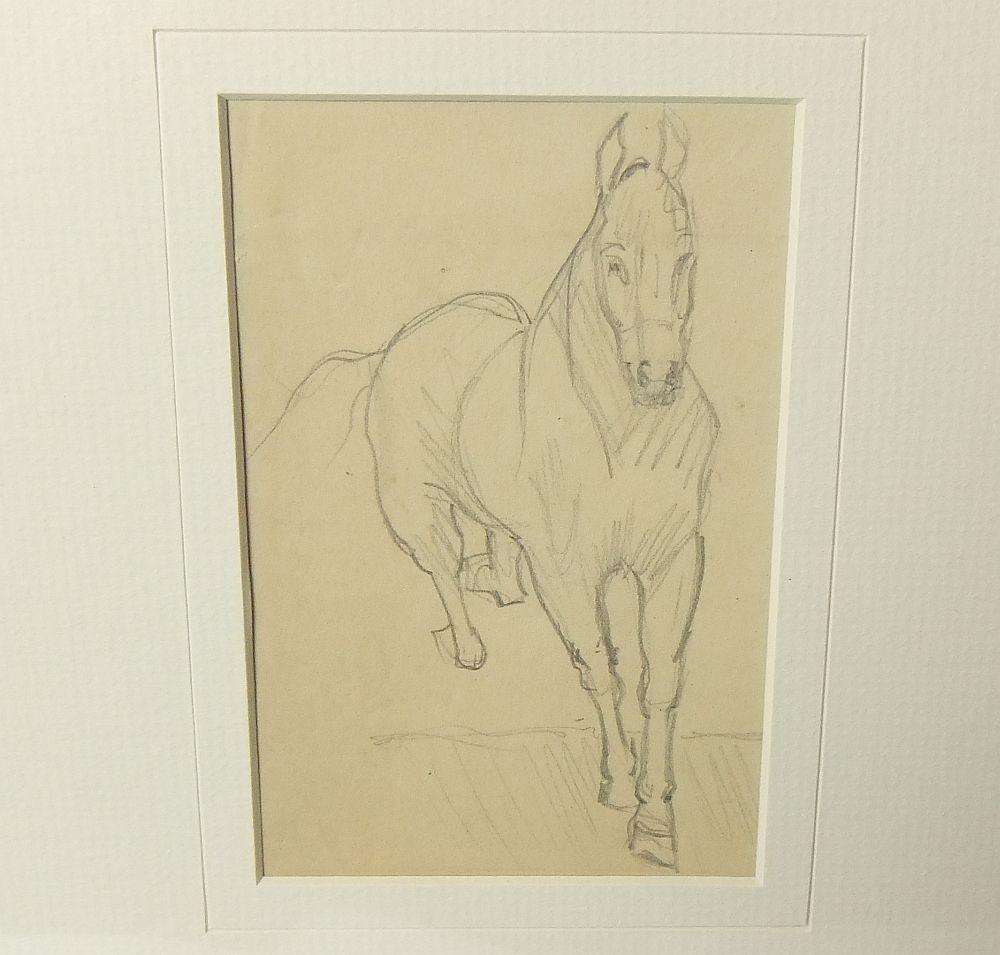 An original pencil sketch by international artist Hedwig Brecher Eibuschitz " horse study "