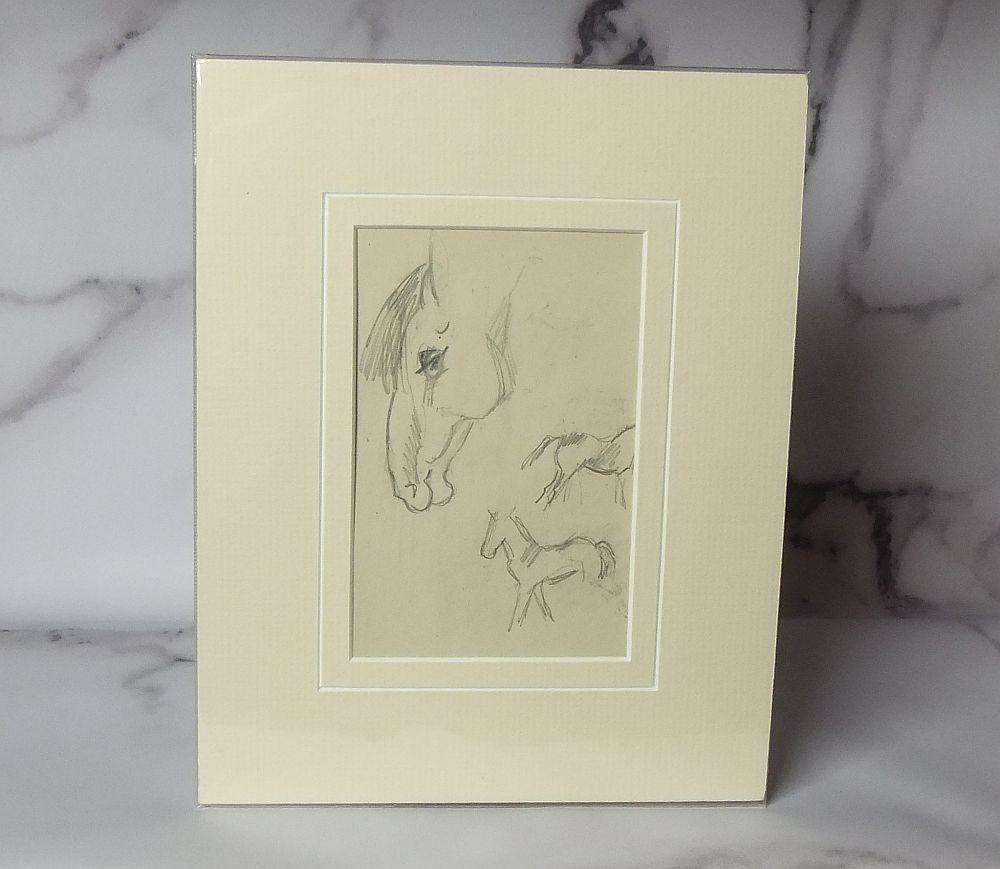 An original pencil sketch by international artist Hedwig Brecher Eibuschitz " horse study "