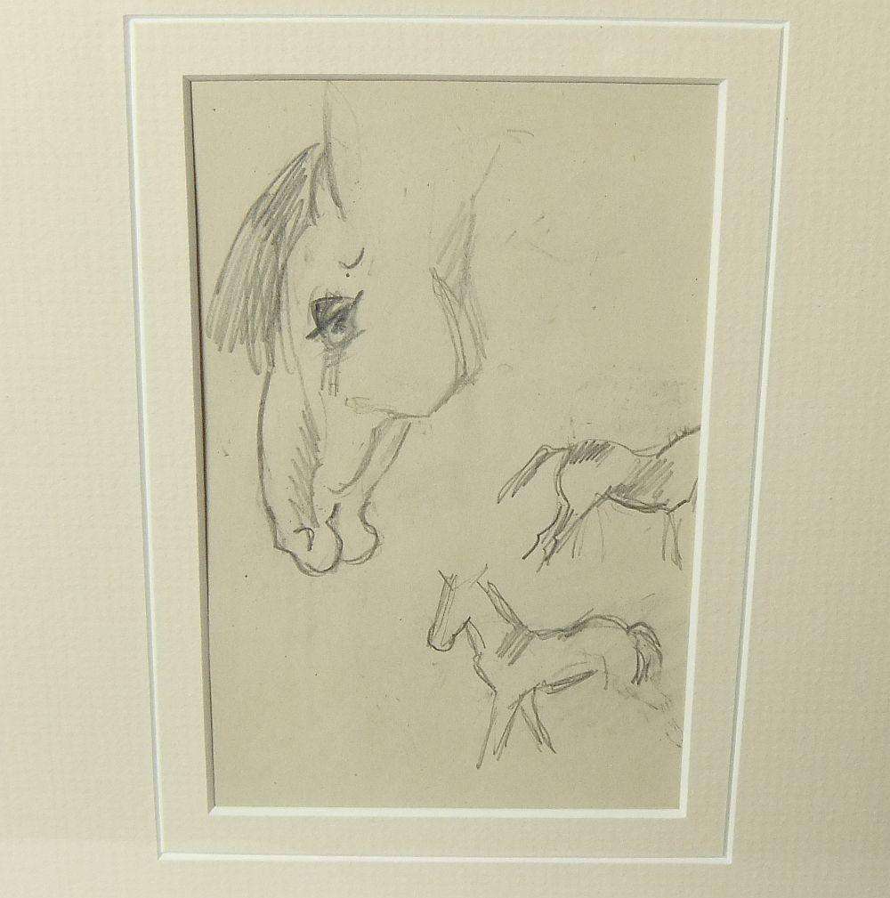 An original pencil sketch by international artist Hedwig Brecher Eibuschitz " horse study "