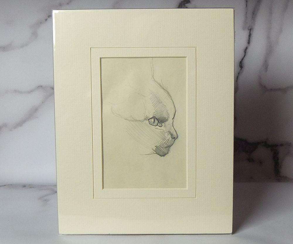 An original pencil sketch by international artist Hedwig Brecher Eibuschitz " cat study "