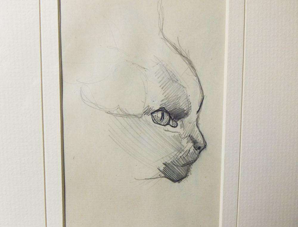 An original pencil sketch by international artist Hedwig Brecher Eibuschitz " cat study "