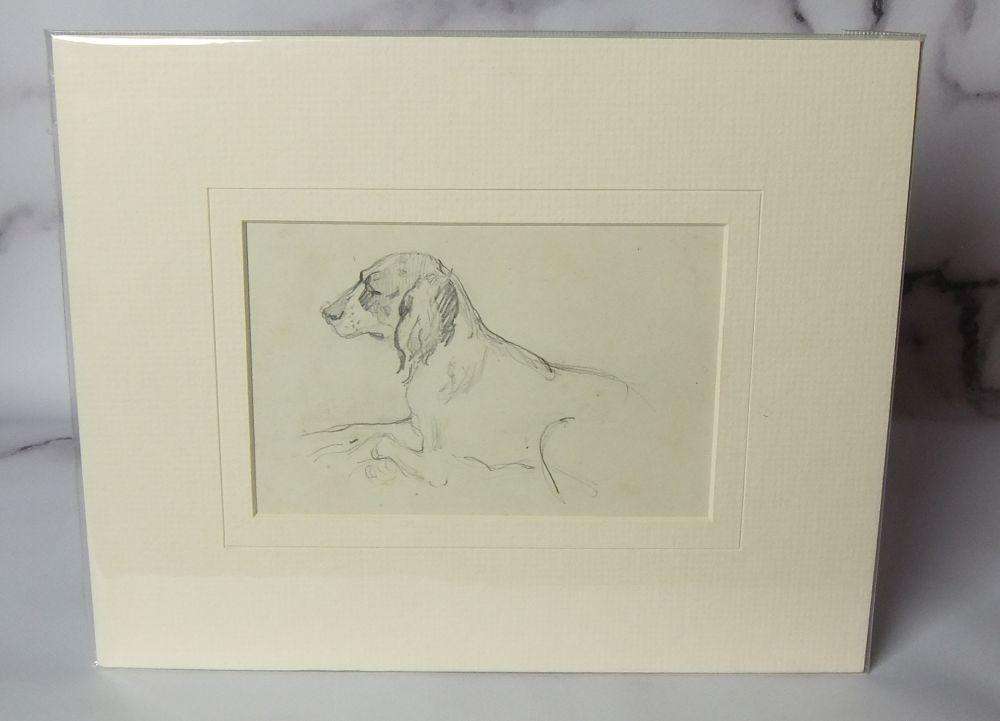 An original pencil sketch by international artist Hedwig Brecher Eibuschitz " dog study "