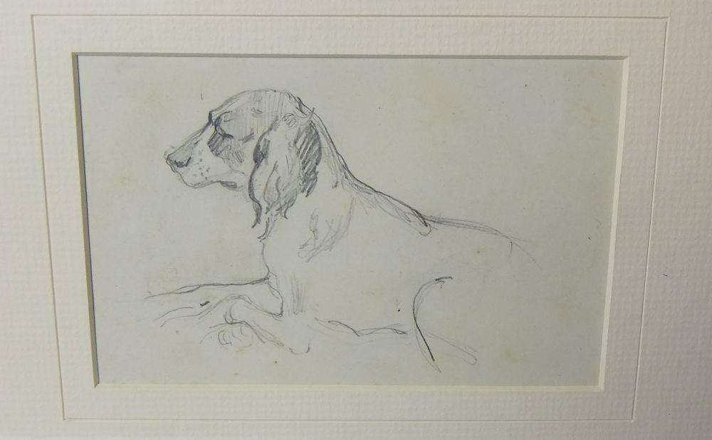 An original pencil sketch by international artist Hedwig Brecher Eibuschitz " dog study "