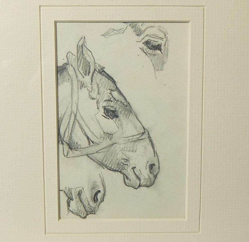 An original pencil sketch by international artist Hedwig Brecher Eibuschitz " horse study "