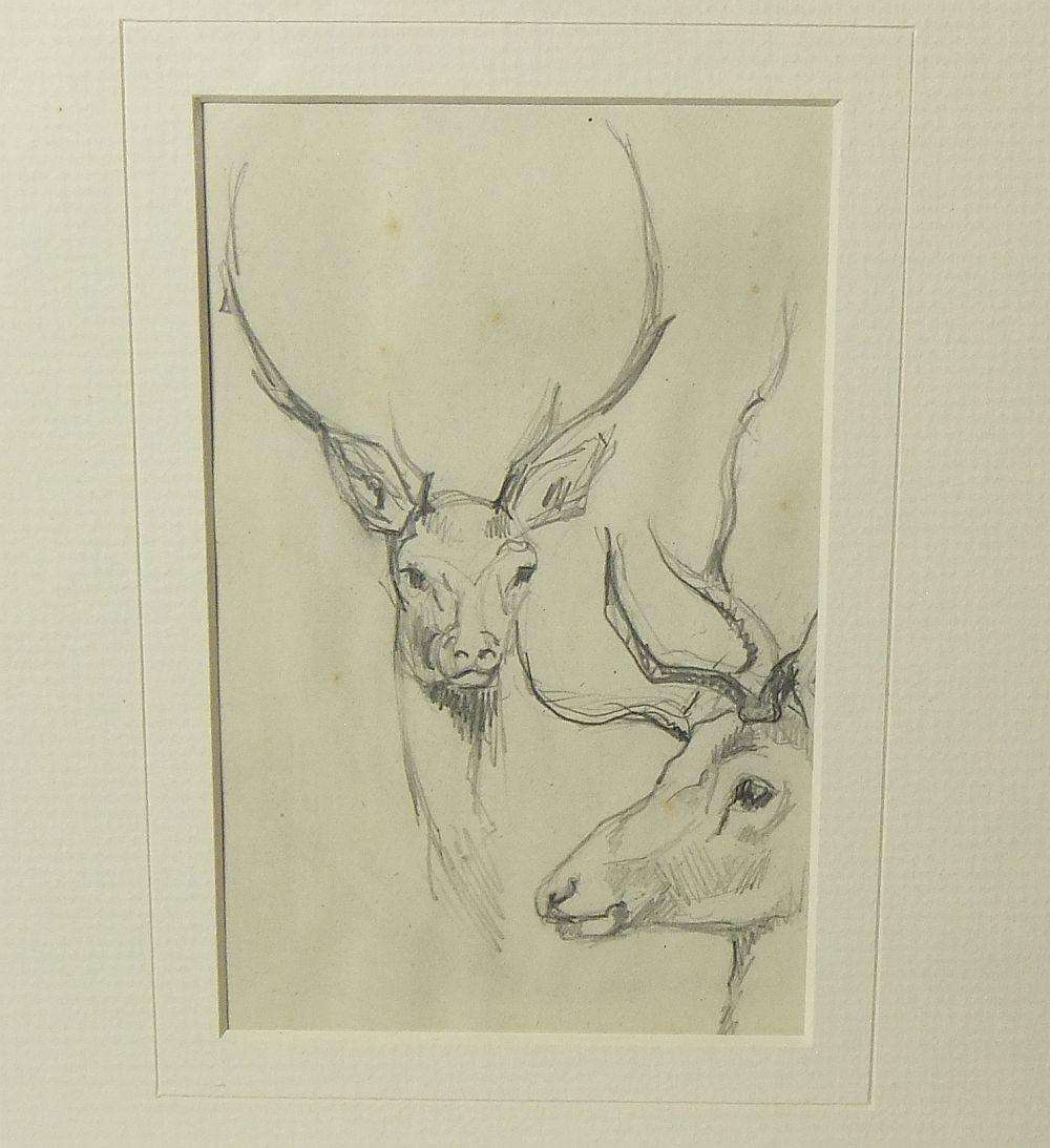 An original pencil sketch by international artist Hedwig Brecher Eibuschitz " deer study "
