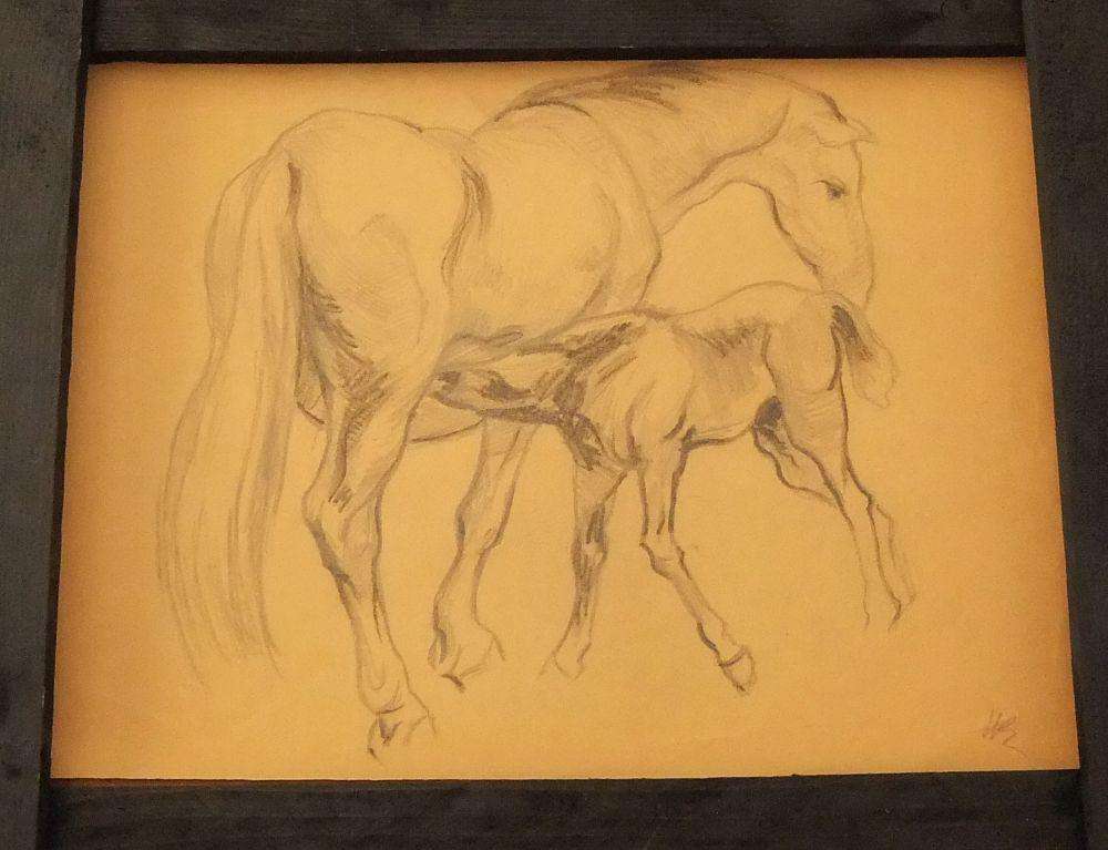 An original pencil sketch by international artist Hedwig Brecher Eibuschitz " horse study "