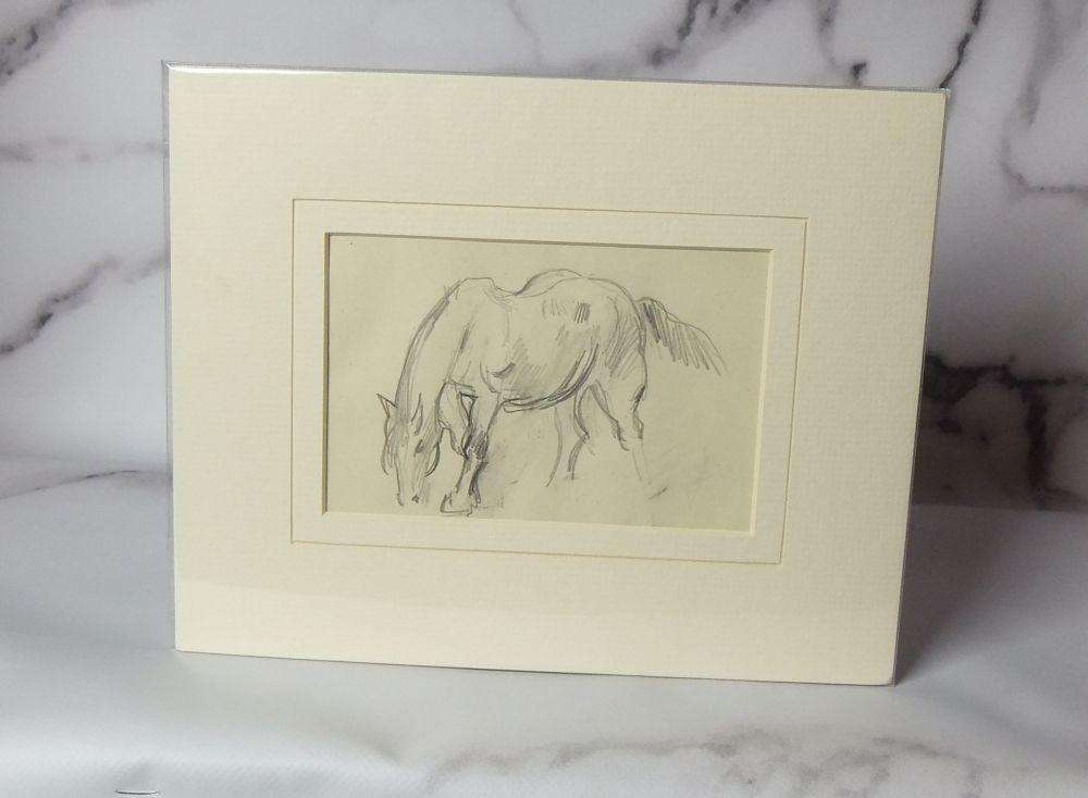 An original pencil sketch by international artist Hedwig Brecher Eibuschitz " horse study "