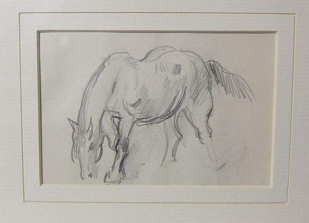 An original pencil sketch by international artist Hedwig Brecher Eibuschitz " horse study "