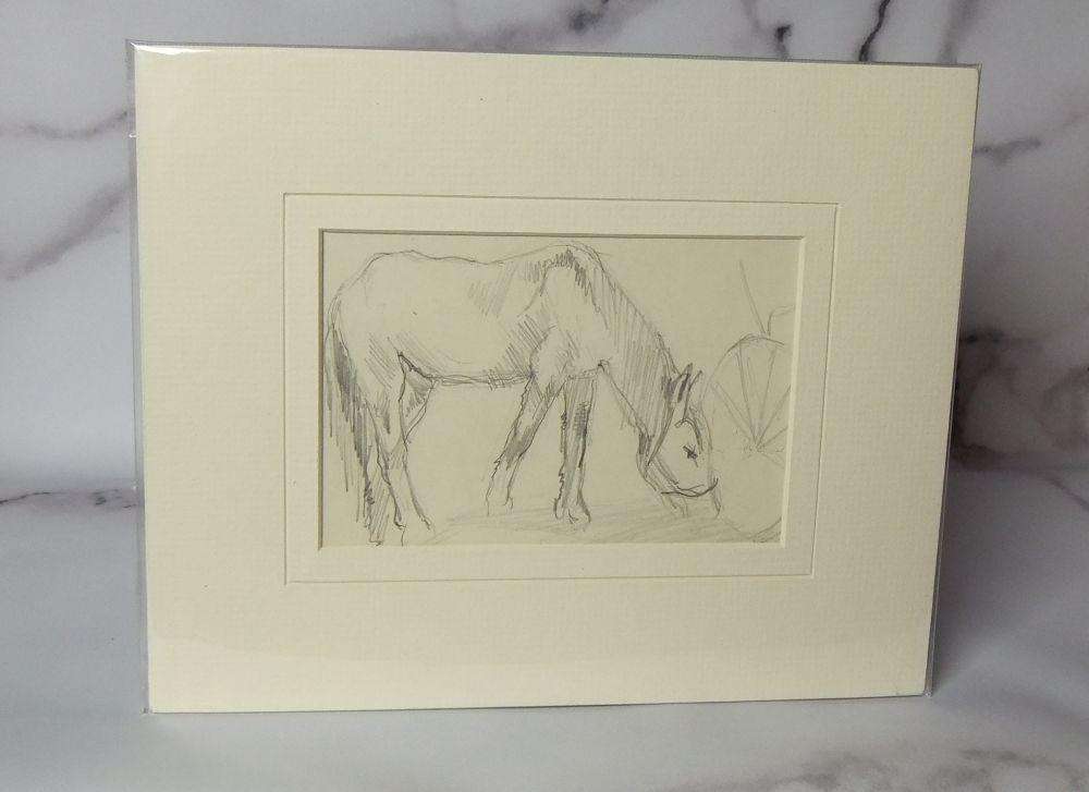 An original pencil sketch by international artist Hedwig Brecher Eibuschitz " horse study "