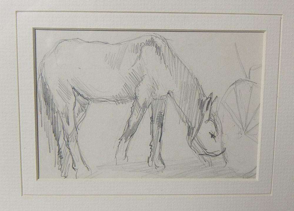 An original pencil sketch by international artist Hedwig Brecher Eibuschitz " horse study "