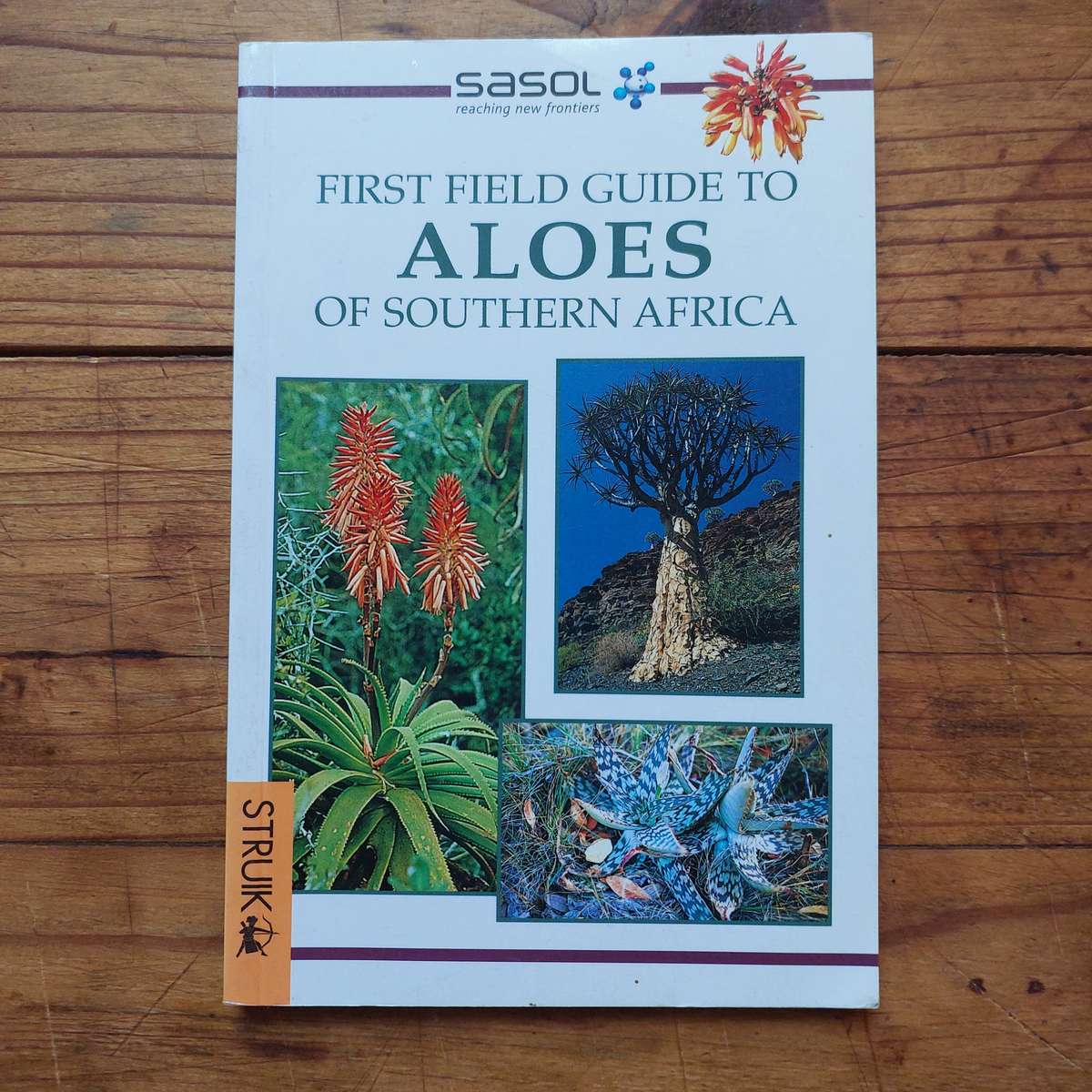Sasol First field guide to Aloes of south africa