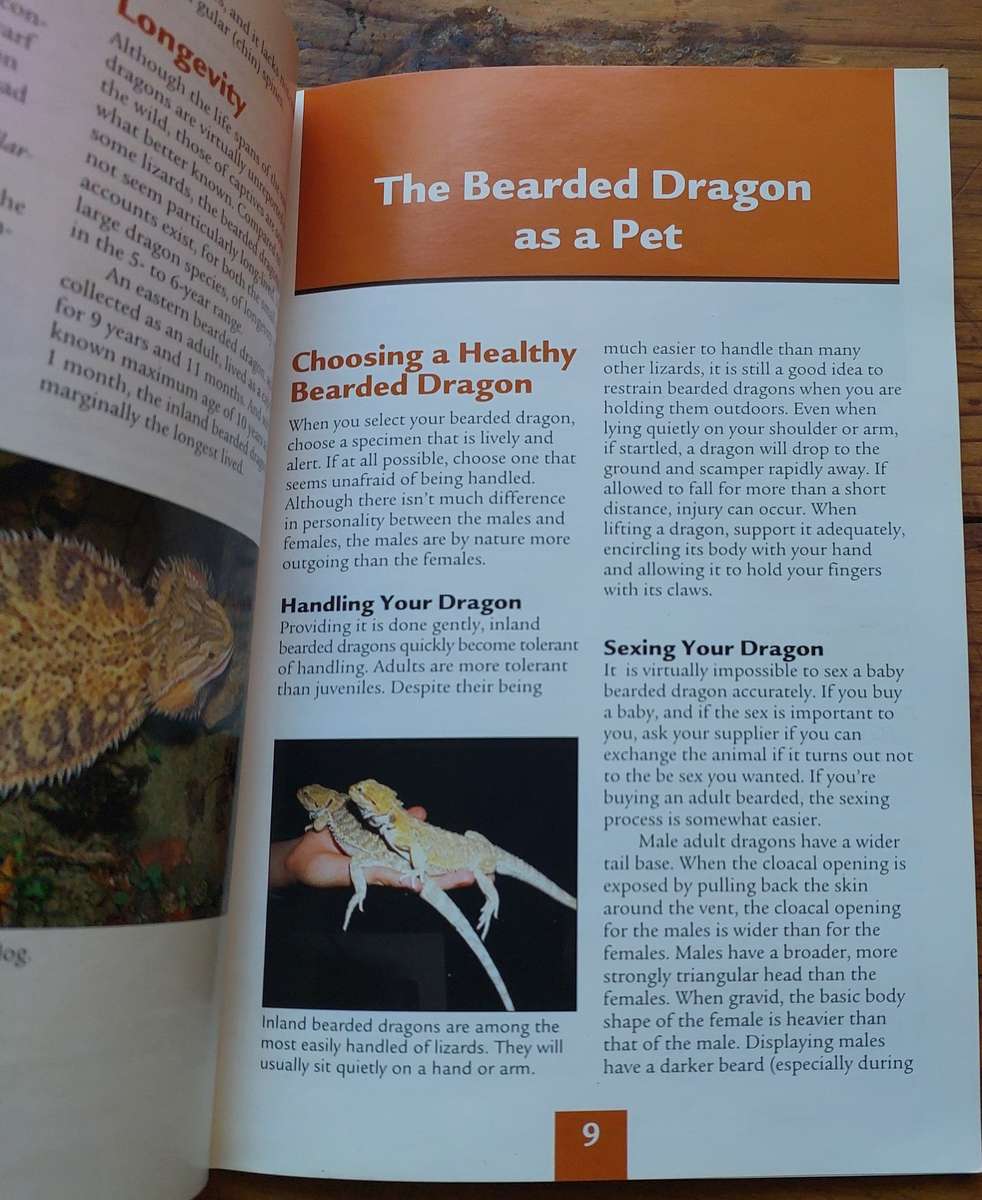 Barron's Reptile Keeper's guides Bearded dragon R.D Bartlett and Patricia Bartlett