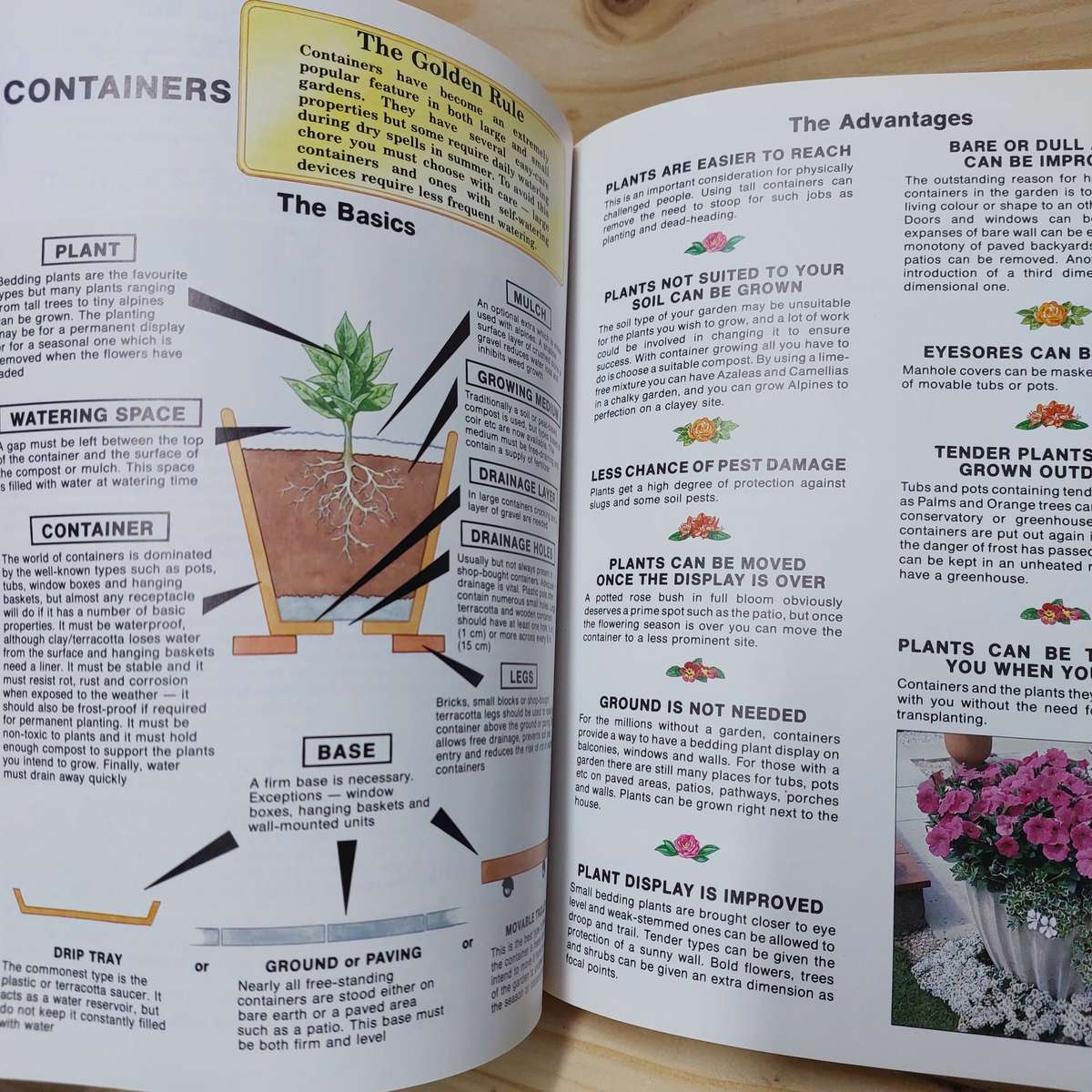 The easy-carr gardening expert Dr. D.G. Hessayon