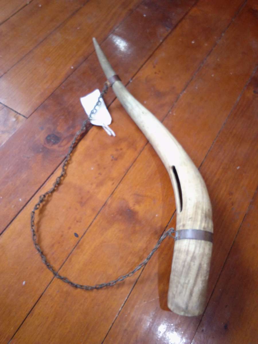 Vintage Chain Mounted Tusk / Horn
