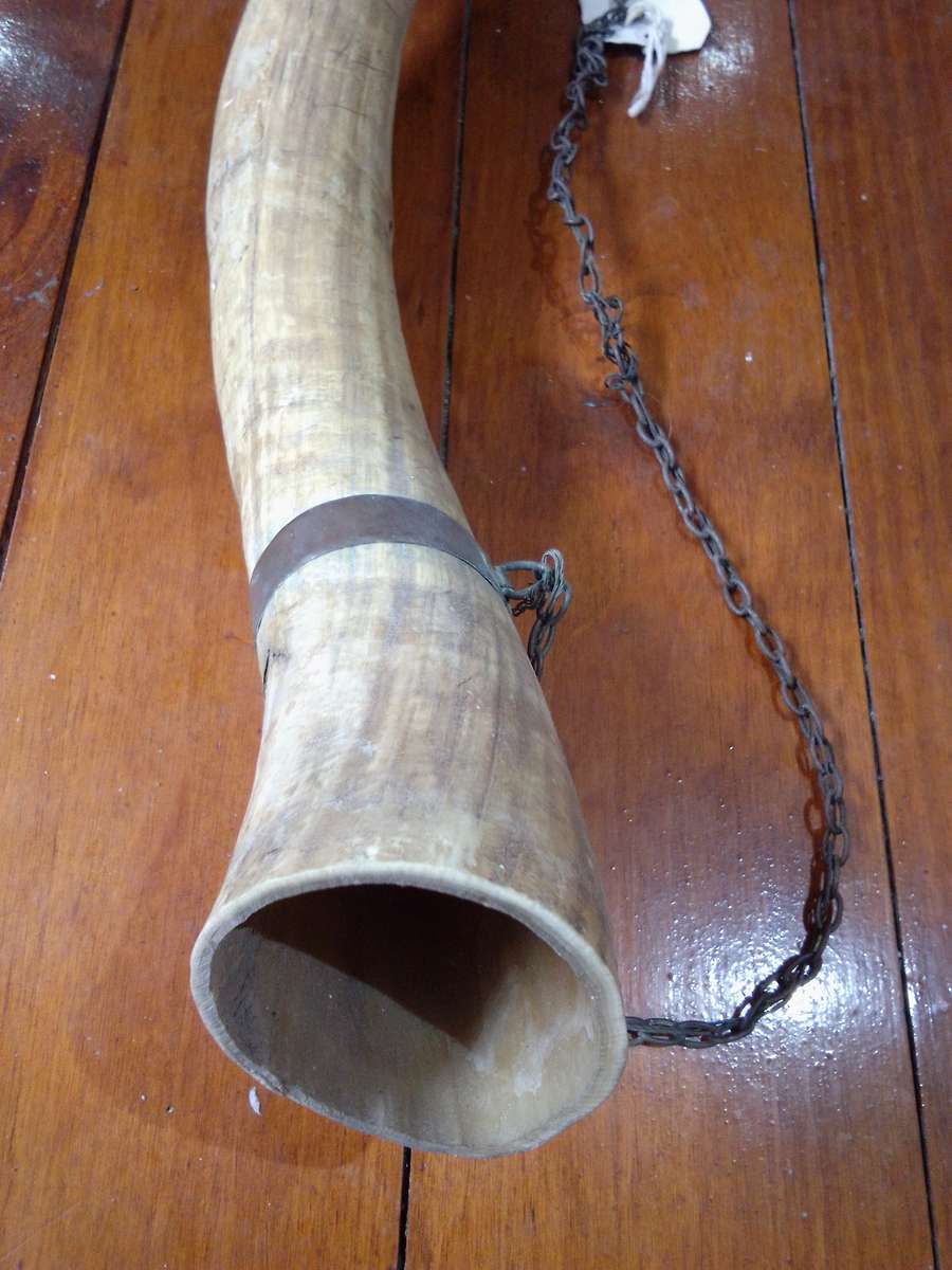 Vintage Chain Mounted Tusk / Horn
